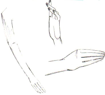 Disegni di Dennis